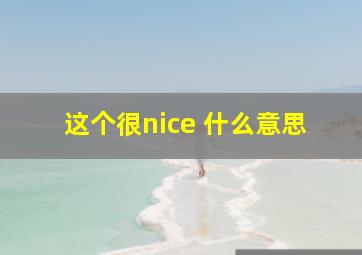 这个很nice 什么意思